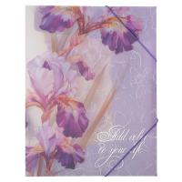 Папка на резинке, А4, пластик, 0,40 мм, 20 мм, цвет с рисунком, Ирисы, FIORENZO в категории Папки пластиковые на резинке, на кнопке