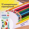 Карандаши цветные акварельные BRAUBERG PREMIUM AQUARELLE, 12 цветов, грифель мягкий 4 мм в категории Карандаши цветные акварельные